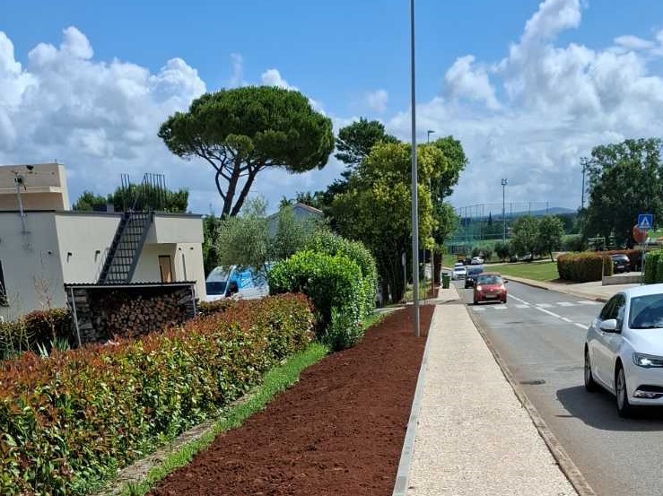 nogostup Dajla, cesta, auti2