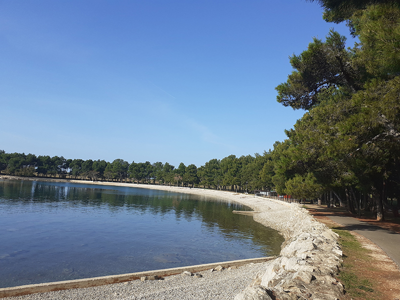 Novigrad, Pineta, more