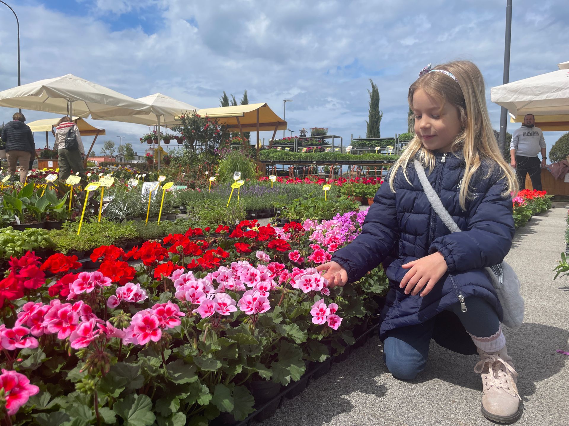 Umag Floria, cvijeće