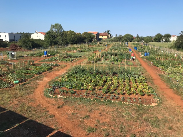 Umag gradski vrtovi, polje, poljoprivreda