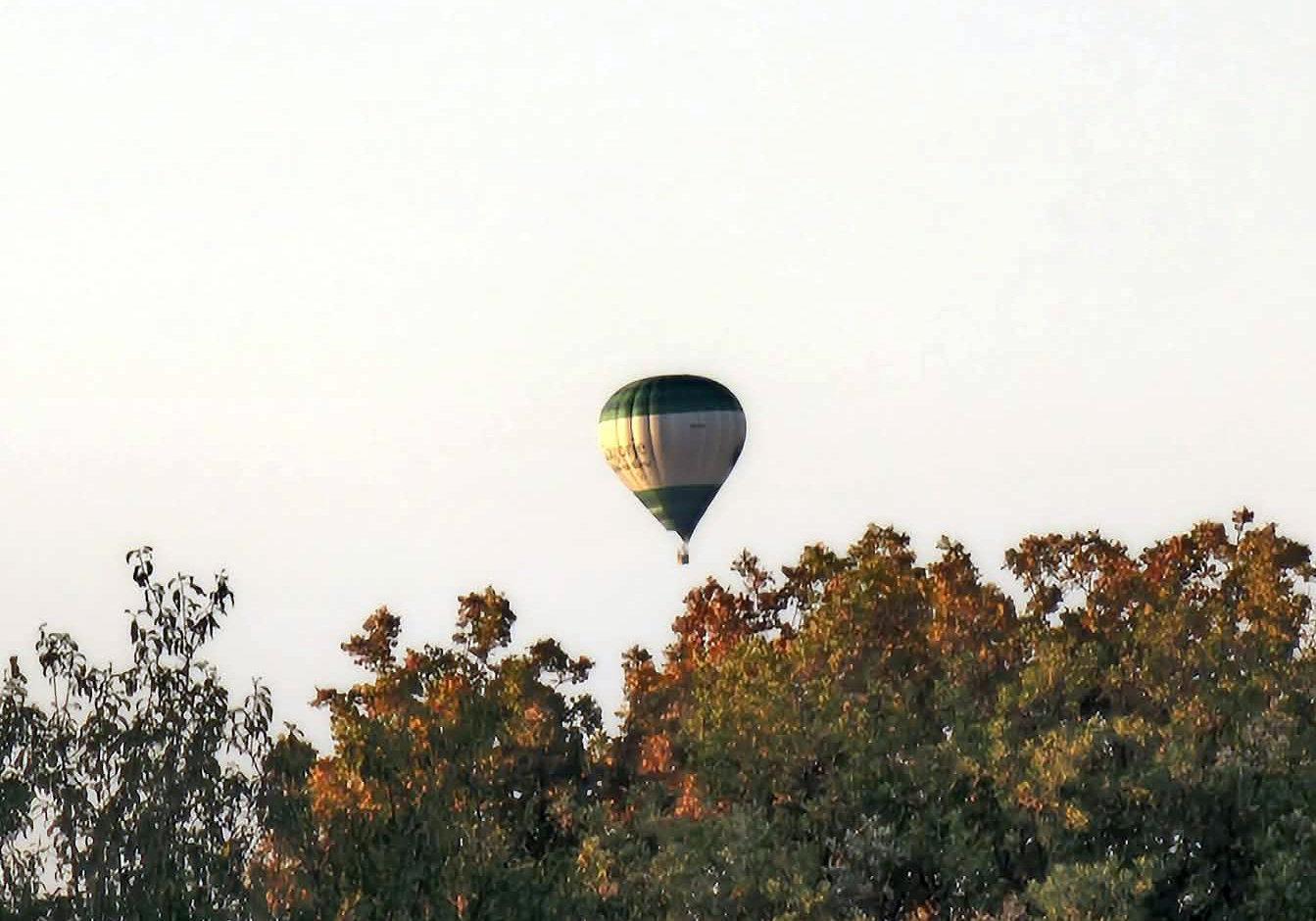 BALON buje3